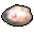 P2 Memorial Shell icon.png