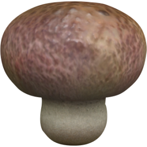 File:P3 Dusty Mushroom.png