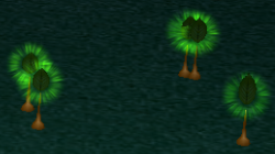 File:P251 Orange Pikmin sprouts.png