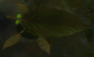 File:P2NY Skitter Leaf.png