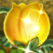HP Sparklium flower.png