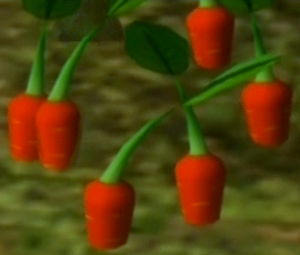 Some actual Pikpik carrots.