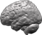 Brain small.png