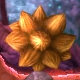 HP Spiked pinecone.png