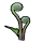 File:P2 Fiddlehead icon.png