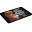 P251 Rug of Feasts icon.png
