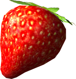 P2 Sunseed Berry.png