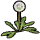 File:P2 Seeding Dandelion icon.png