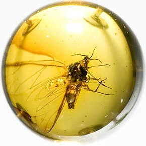 File:Insect Incubator.jpg