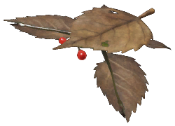 File:P4 Desiccated Skitter Leaf.png