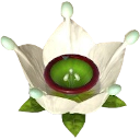 File:P3 Ivory Candypop Bud.png