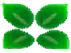 File:PA Clover.png