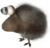Woolly Bulborb.png