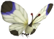 P3 White Spectralid.png