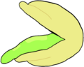 Greenfoot Clamclamp.png