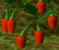 Appearance in Pikmin 2, buried ().