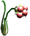 Appearance in Pikmin 2, ultra-spicy ().