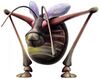 P2 Antenna Beetle.jpg