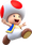 Toad1 user image.png