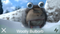 A Woolly Bulborb being scanned.