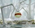 Appearance in Pikmin 3, arctic variant (). This is actually a hairless Shaggy Long Legs.