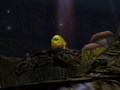 A Yellow Wollywog.