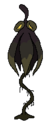 Weeping Glumbrella wilted.png