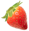 P4 Sunseed Berry.png