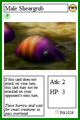 In the Pikmin 1 card set.
