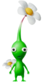 The Green Pikmin's old appearance ().